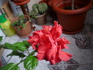 P1020712
