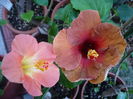 P1300171