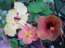 P1300172