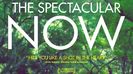 26sept2016 ”The Spectacular Now (2013)” ★★★☆☆