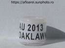 au 2013 oaklawn