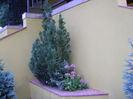 Toamna in curte