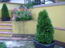 Toamna in curte