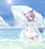 beach