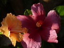 P1300187