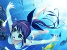 swimmer