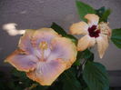 P1300197