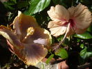 P1300198
