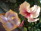 P1300202