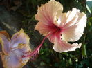 P1300205