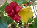 P1300233