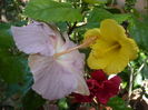P1300236