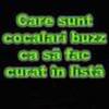 care sunt cocalari buzz