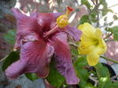 P1300261