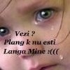 vezi plang