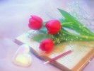 Love%20Poems%20Desktop