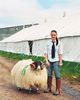 Berbec Dartmoor Scotch Blackface concurent