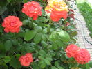 Picture 6680