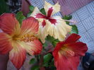 P1300328
