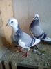 received_1794136054185482