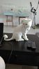 IMG-20160710-WA0004