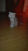 IMG-20160710-WA0010