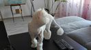 IMG-20160710-WA0013