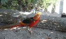 IMG-20160909-WA0001