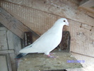2009-2010 073