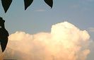 Nuovo_1_Photo2766