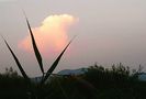 Nuovo_1_Photo2660