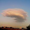 Nuovo_1_Photo2471