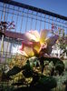 IMGP0039
