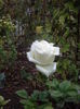 IMGP0047
