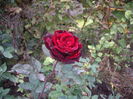 IMGP0051