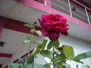 IMGP0056
