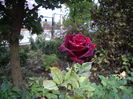 IMGP0071