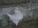 PICT0074