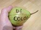 Par Dicolor 5