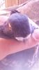 received_599810840193448