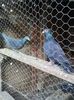 IMG-20161015-WA0042
