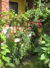 Picture 6809