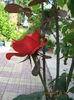 Picture 6817