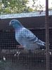 IMG-20161015-WA0040