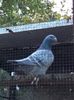 IMG-20161015-WA0037