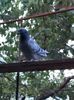 IMG-20161015-WA0029