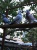 IMG-20161015-WA0028