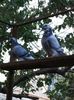 IMG-20161015-WA0026