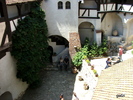 DSCF4520