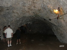 DSCF4702